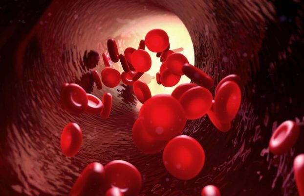 Memilih Antiplatelet yang Tepat: Perbandingan Ticagrelor dan Clopidogrel