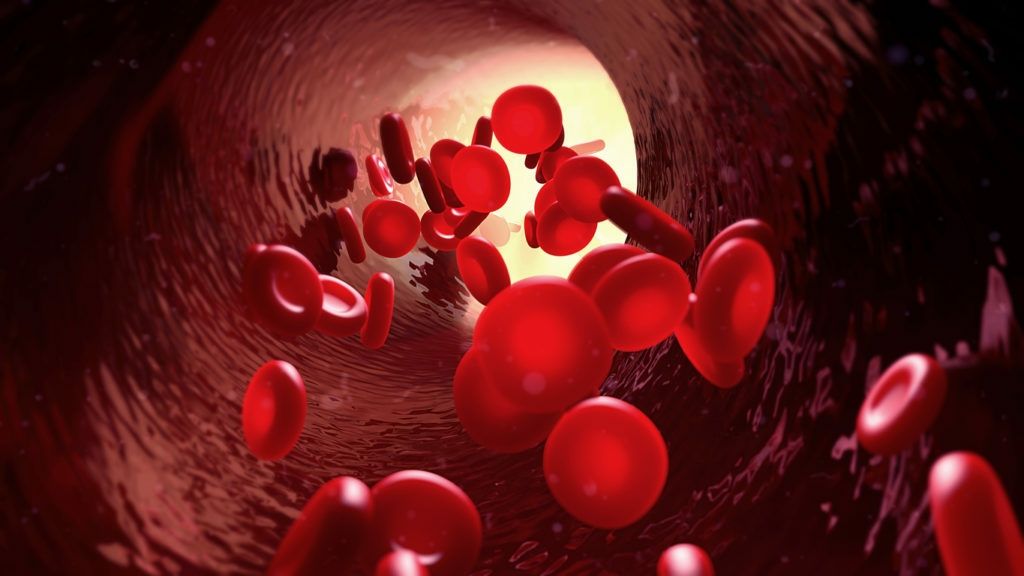 Memilih Antiplatelet yang Tepat: Perbandingan Ticagrelor dan Clopidogrel
